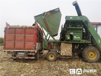 广饶县财政赋能粮食生产，筑牢防洪除涝设施管理根基