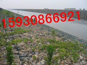 筑牢生态屏障，守护江河安澜——探析格宾网技术在防洪护坡及设施管理中的应用