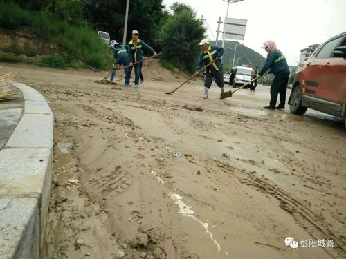 防汛救灾，彭阳城管在行动——筑牢防洪除涝设施管理“安全堤”